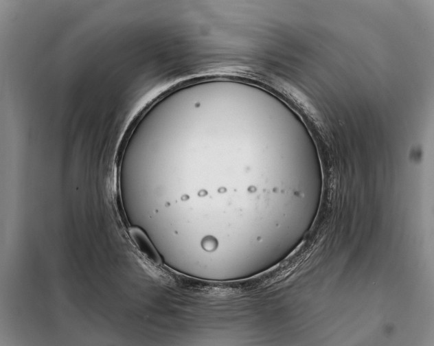 X0000100221324200806131306