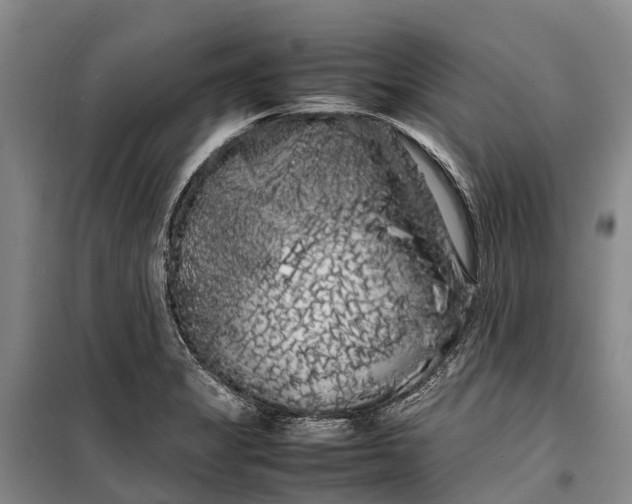 X0000100221325200806131306