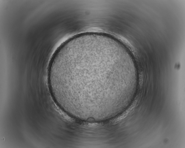 X0000100221326200806131306