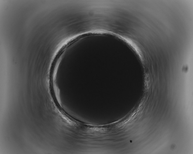 X0000100221327200806131306