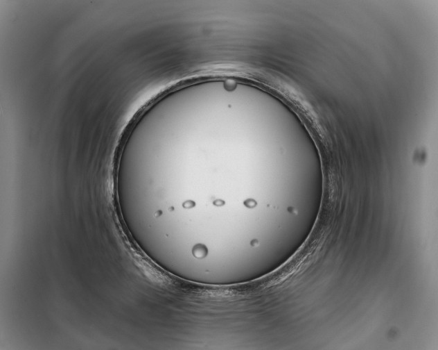 X0000100221328200806131306