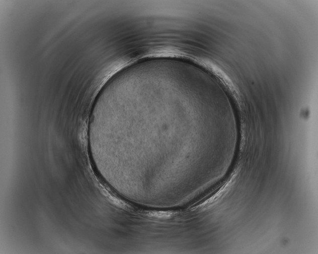 X0000100221329200806131306