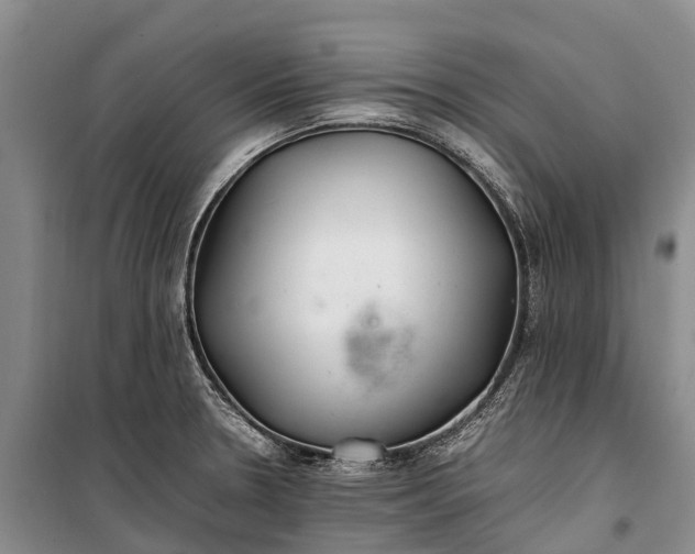 X0000100221330200806131306