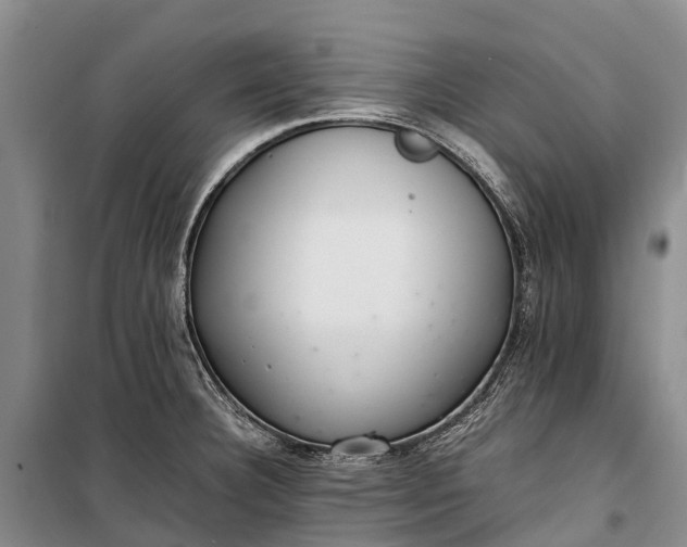 X0000100221332200806131306