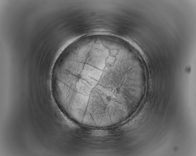 X0000100221333200806131306