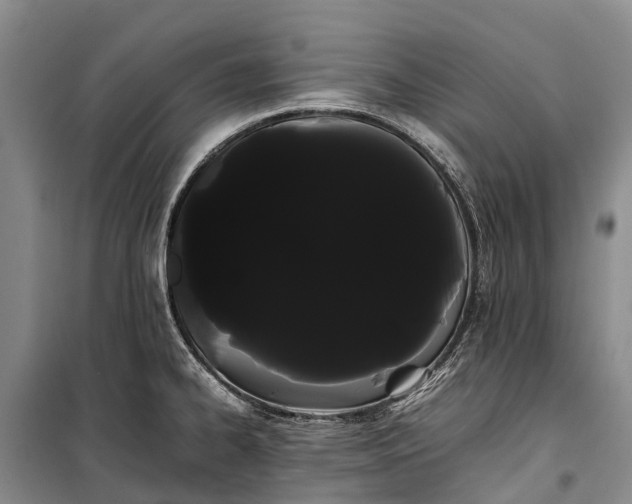 X0000100221334200806131306