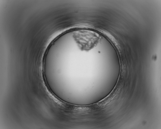 X0000100221335200806131306