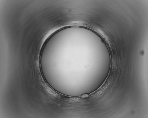 X0000100221336200806131306