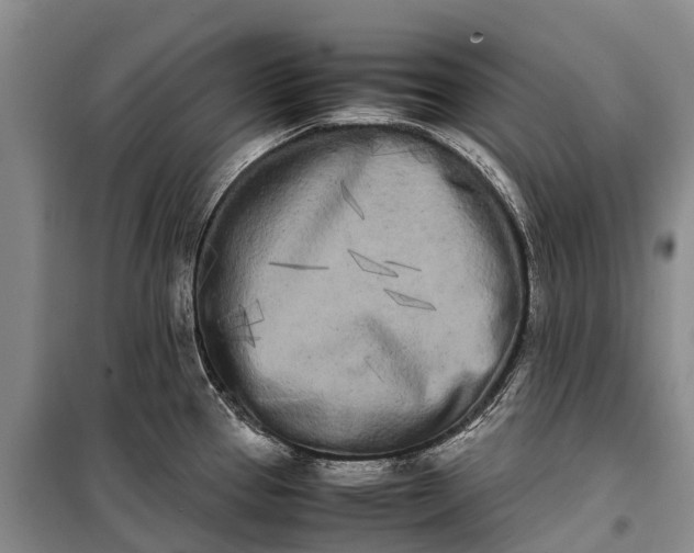 X0000100221337200806131306