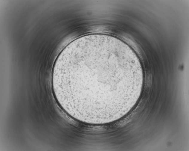 X0000100221338200806131306