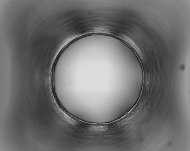 X0000100221339200806131306