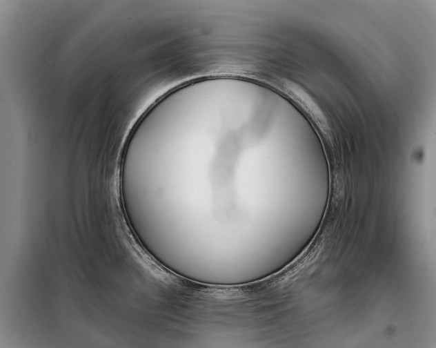 X0000100221340200806131306