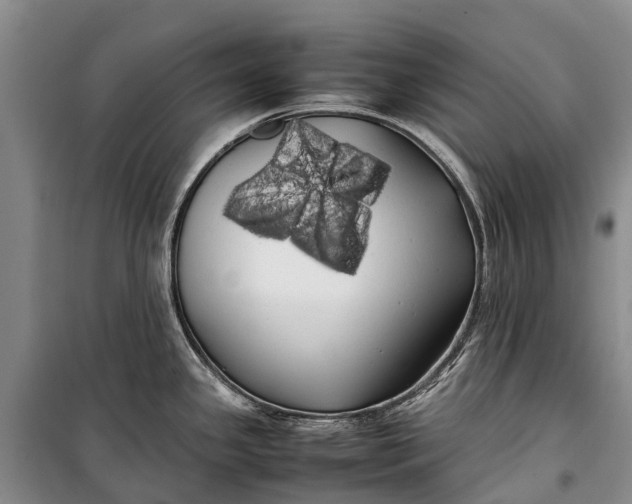 X0000100221341200806131306