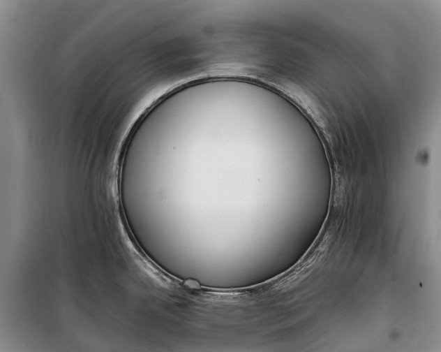 X0000100221342200806131306