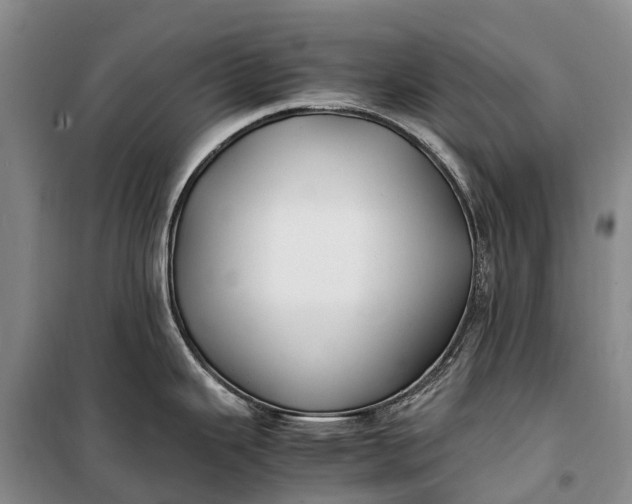 X0000100221343200806131306