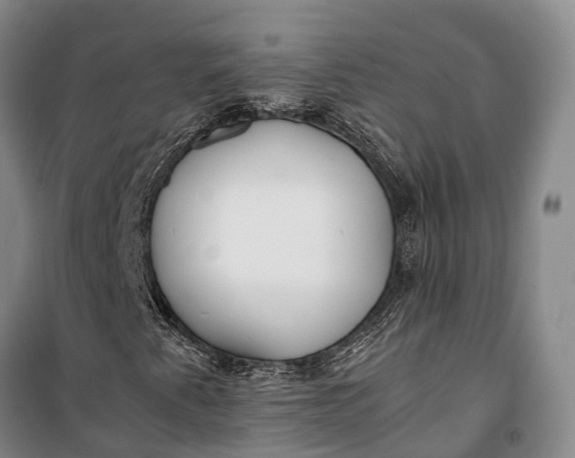 X0000100221345200806131305