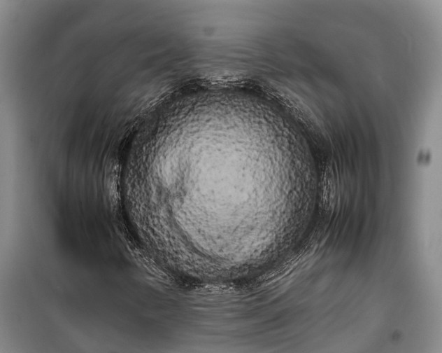 X0000100221346200806131305