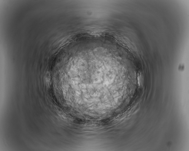 X0000100221347200806131305