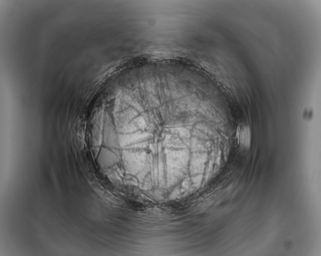 X0000100221348200806131305