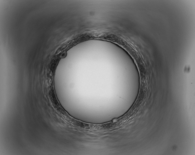 X0000100221349200806131305