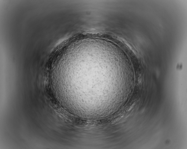 X0000100221350200806131305