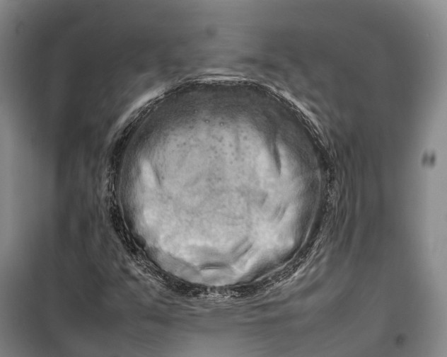 X0000100221351200806131305