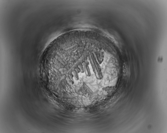 X0000100221352200806131305