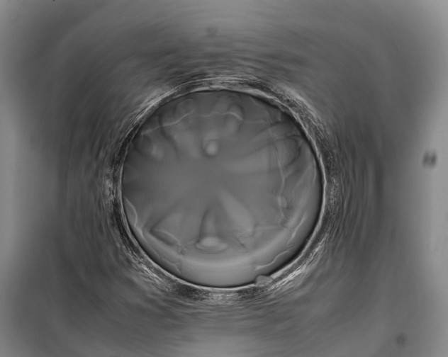 X0000100221353200806131305