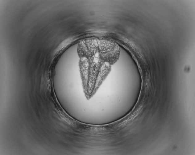 X0000100221354200806131305