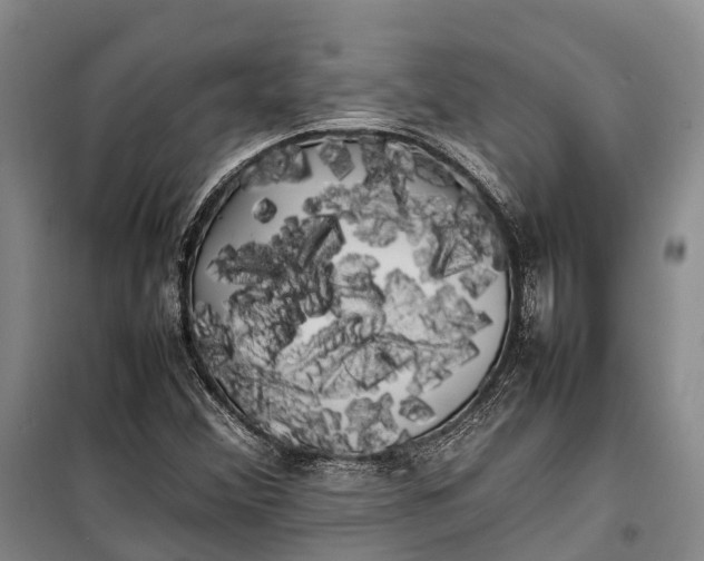 X0000100221356200806131305