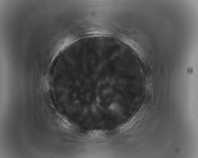 X0000100221357200806131305