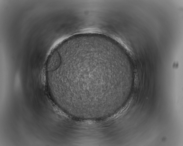 X0000100221358200806131305