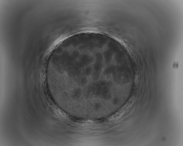 X0000100221359200806131305