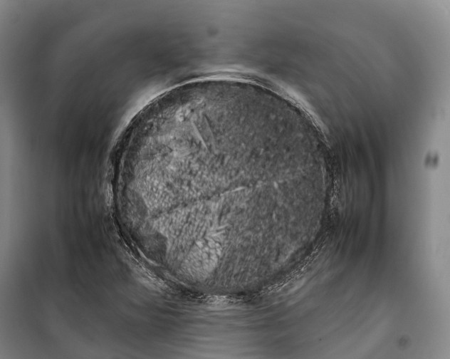 X0000100221360200806131305