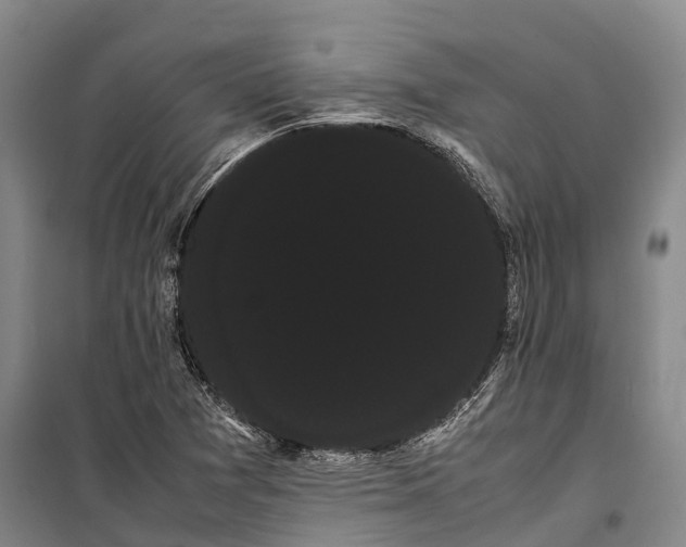 X0000100221361200806131305