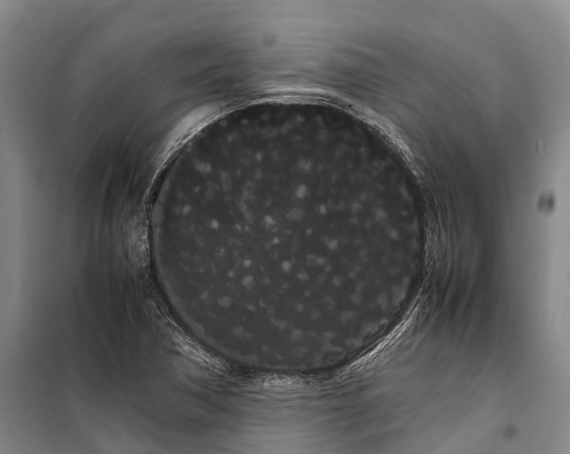 X0000100221362200806131305