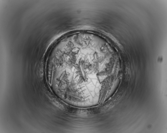 X0000100221364200806131305