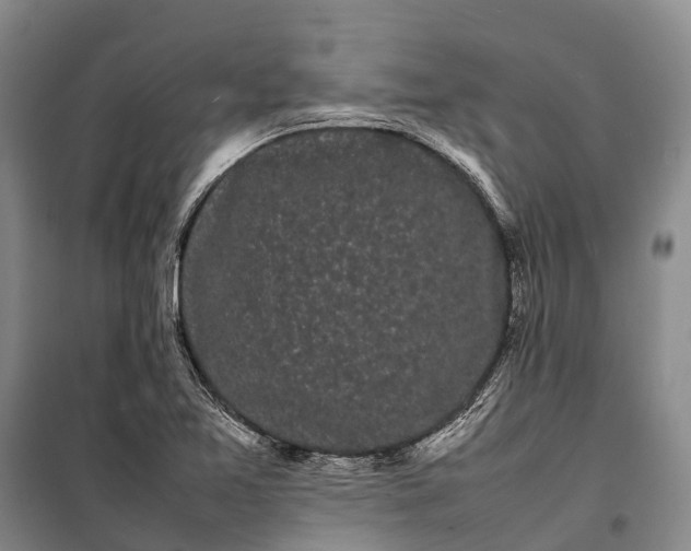 X0000100221365200806131305