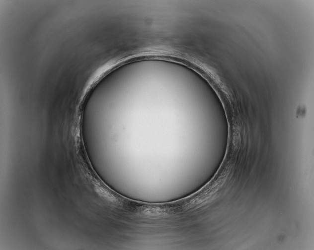 X0000100221366200806131305