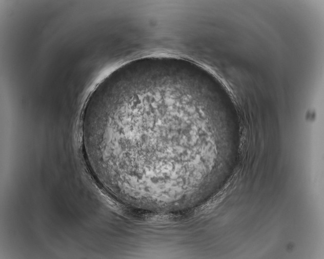 X0000100221367200806131305