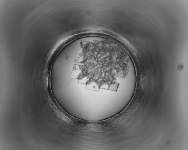 X0000100221368200806131305