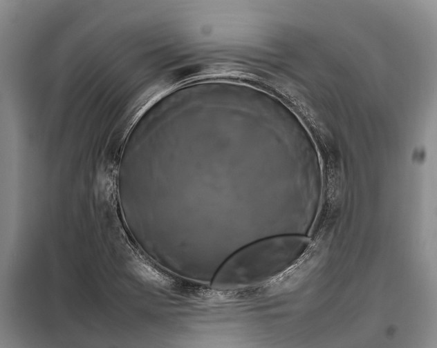 X0000100221369200806131305