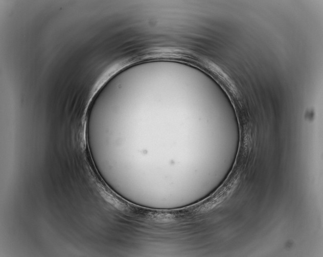 X0000100221370200806131305