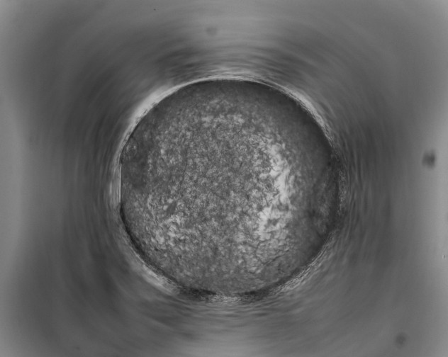 X0000100221371200806131305