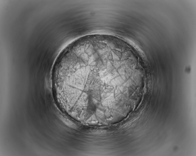 X0000100221372200806131305