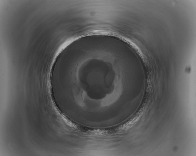 X0000100221373200806131305