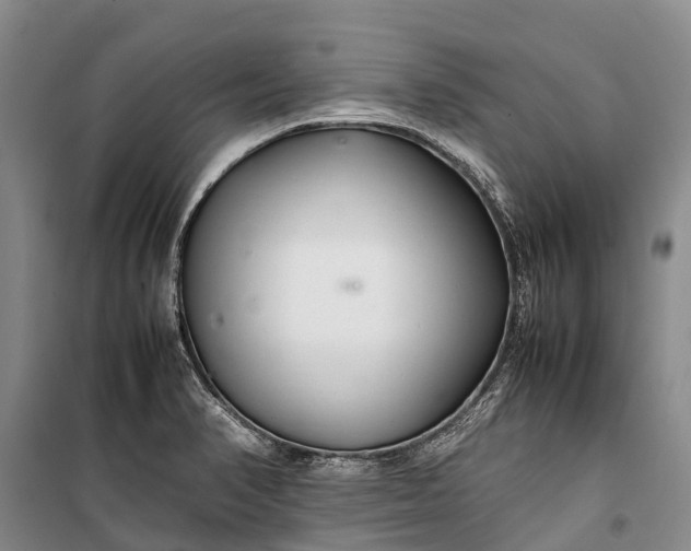 X0000100221374200806131305