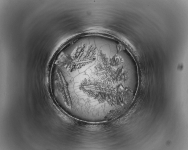 X0000100221376200806131305