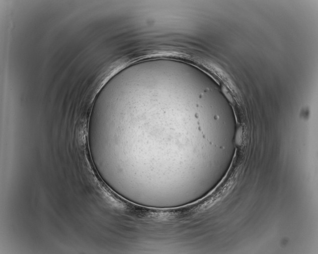 X0000100221377200806131305