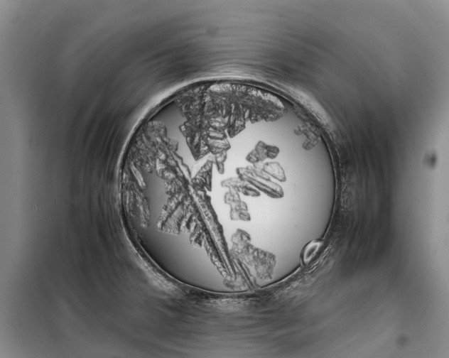 X0000100221380200806131305